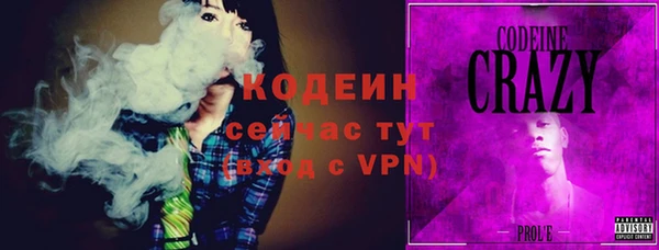 гидра Богданович