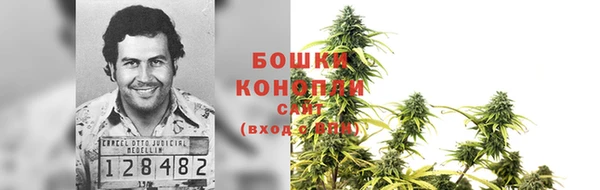 гидра Богданович