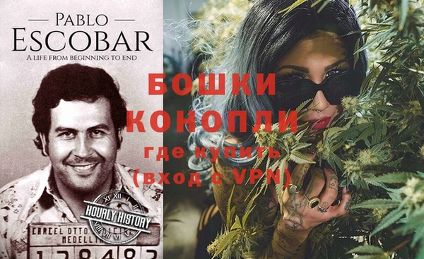 гидра Богданович