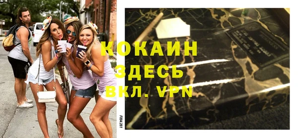 гидра Богданович