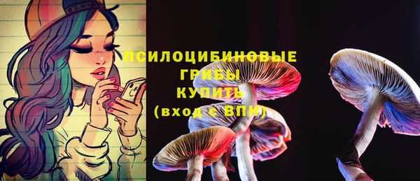 MDMA Богородицк