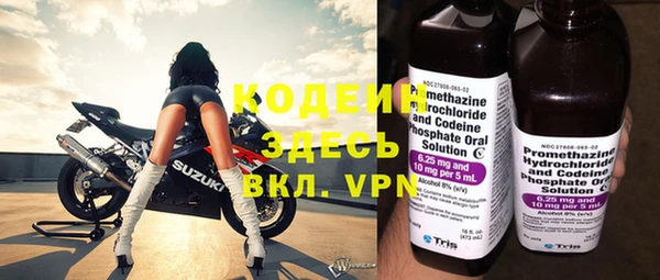 гидра Богданович