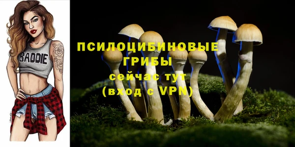 кристаллы Богородск