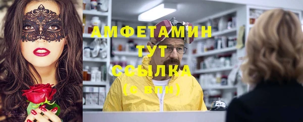 гидра Богданович